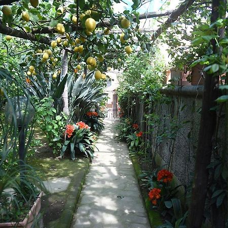 Anthea Sorrento Bed & Breakfast Bagian luar foto