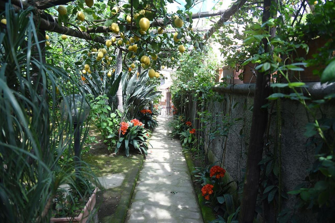 Anthea Sorrento Bed & Breakfast Bagian luar foto