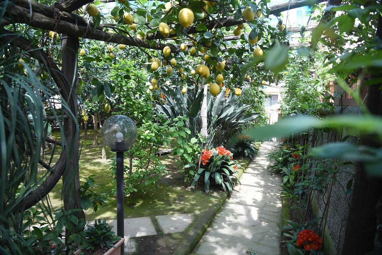 Anthea Sorrento Bed & Breakfast Bagian luar foto